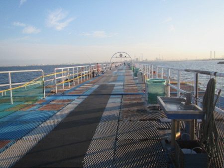 オリジナルメーカー海づり公園(市原市海づり施設) 釣果