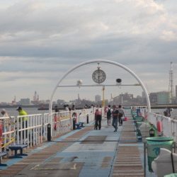 オリジナルメーカー海づり公園(市原市海づり施設) 釣果