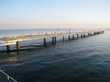 オリジナルメーカー海づり公園(市原市海づり施設) 釣果