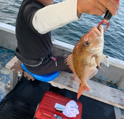 幸吉丸 釣果