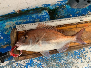 幸吉丸 釣果