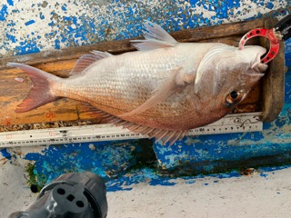 幸吉丸 釣果