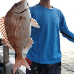 遊漁船 ニライカナイ 釣果