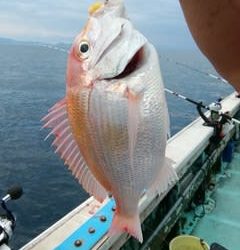松福丸 釣果