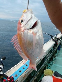 松福丸 釣果