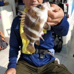 遊漁船　ニライカナイ 釣果