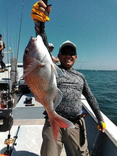 ファイヤードルフィン 釣果