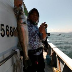 ファイヤードルフィン 釣果