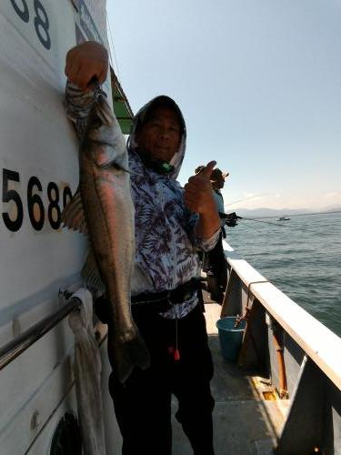 ファイヤードルフィン 釣果