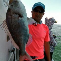 ファイヤードルフィン 釣果