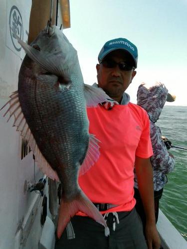 ファイヤードルフィン 釣果