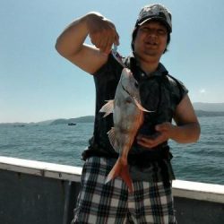 ファイヤードルフィン 釣果