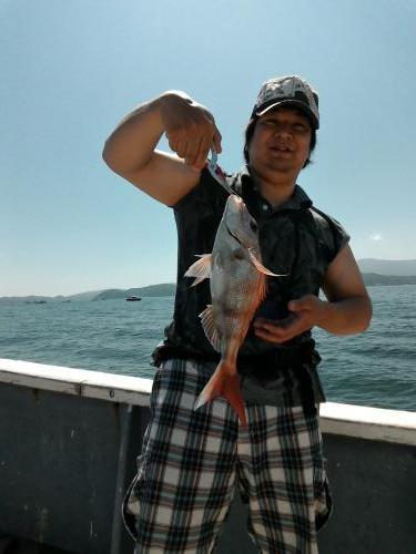 ファイヤードルフィン 釣果