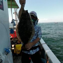 ファイヤードルフィン 釣果