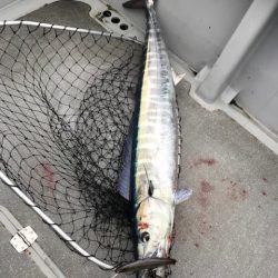 へいみつ丸 釣果