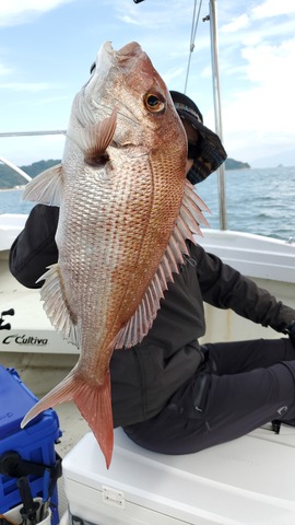 遊漁船 ニライカナイ 釣果