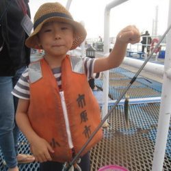 オリジナルメーカー海づり公園(市原市海づり施設) 釣果