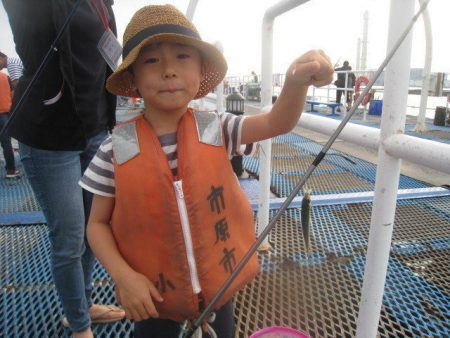 オリジナルメーカー海づり公園(市原市海づり施設) 釣果