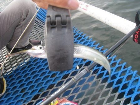 オリジナルメーカー海づり公園(市原市海づり…