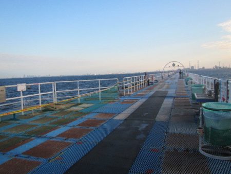 オリジナルメーカー海づり公園(市原市海づり施設) 釣果