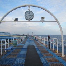 オリジナルメーカー海づり公園(市原市海づり施設) 釣果