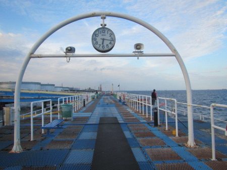 オリジナルメーカー海づり公園(市原市海づり施設) 釣果