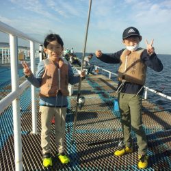 オリジナルメーカー海づり公園(市原市海づり施設) 釣果