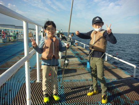 オリジナルメーカー海づり公園(市原市海づり施設) 釣果