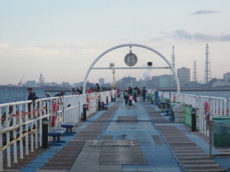 オリジナルメーカー海づり公園(市原市海づり施設) 釣果