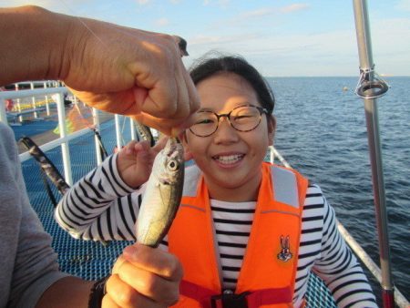 オリジナルメーカー海づり公園(市原市海づり施設) 釣果