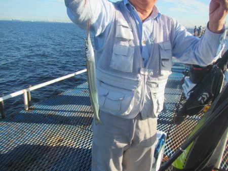 オリジナルメーカー海づり公園(市原市海づり施設) 釣果