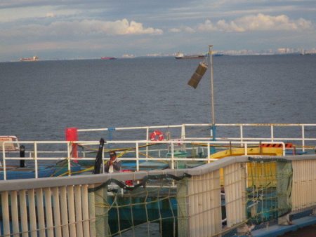 オリジナルメーカー海づり公園(市原市海づり施設) 釣果