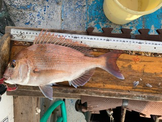 幸吉丸 釣果