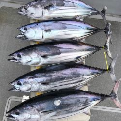 へいみつ丸 釣果