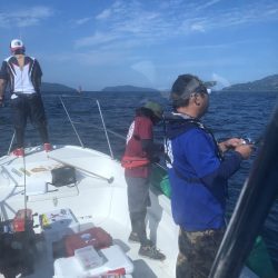 Magic(マジック) 釣果