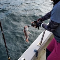 遊漁船 ニライカナイ 釣果