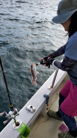 遊漁船 ニライカナイ 釣果