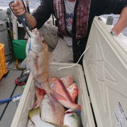 IDATEN(イダテン) 釣果