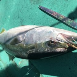 広進丸 釣果