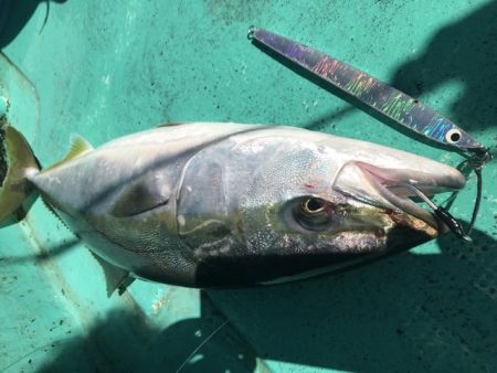 広進丸 釣果