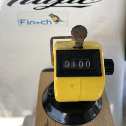 Magic(マジック) 釣果