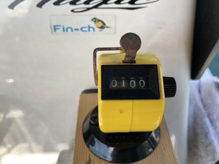 Magic(マジック) 釣果