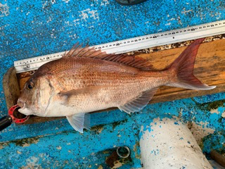 幸吉丸 釣果