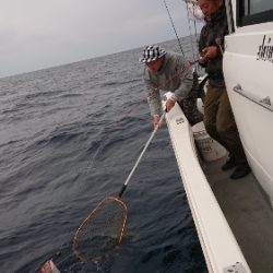 IDATEN(イダテン) 釣果