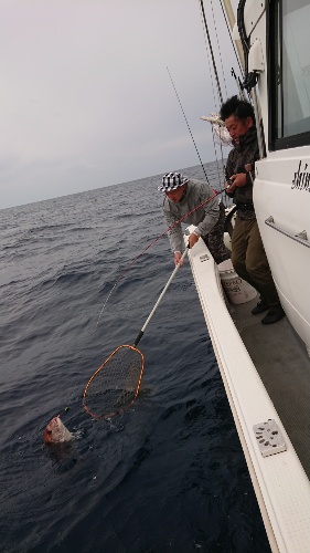 IDATEN(イダテン) 釣果