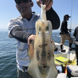 Magic(マジック) 釣果