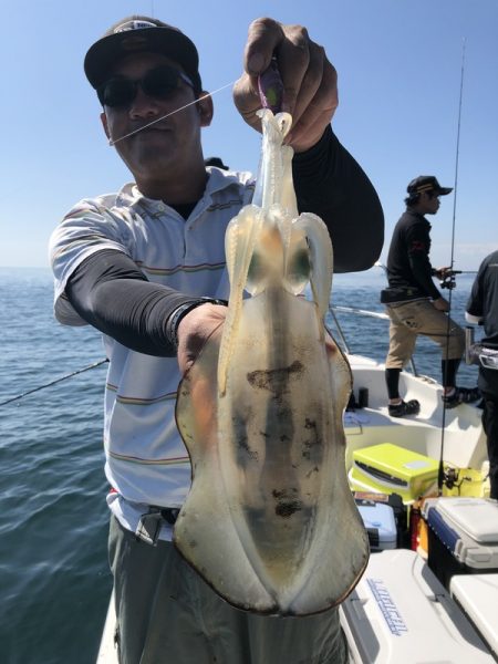 Magic(マジック) 釣果