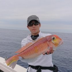 IDATEN（イダテン） 釣果