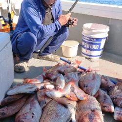 IDATEN(イダテン) 釣果