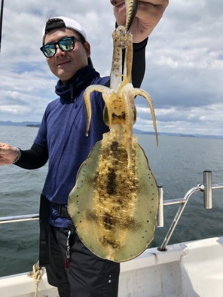 Magic（マジック） 釣果